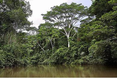 Xbox负责人：新一代Xbox会有 不会放弃制造硬件